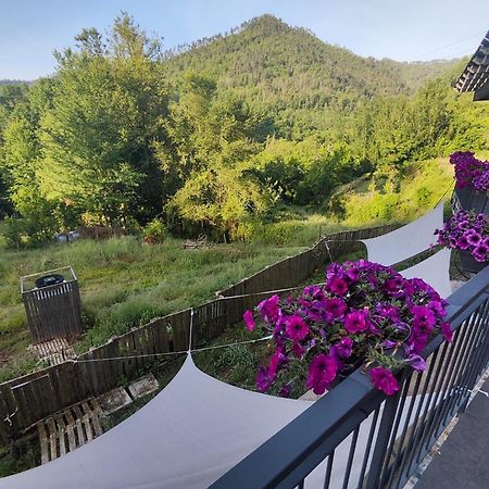 Agriturismo Terre Di Ginepro Borghetto di Vara Dış mekan fotoğraf