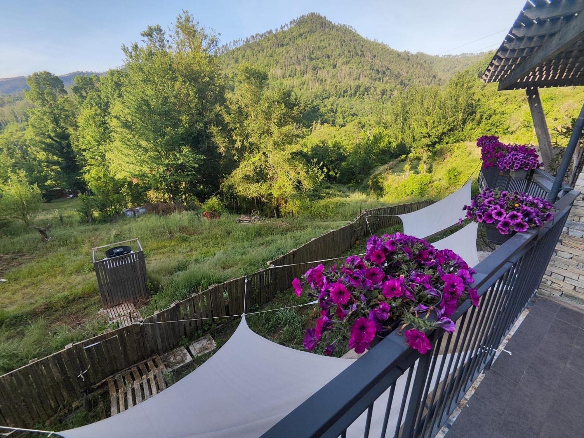 Agriturismo Terre Di Ginepro Borghetto di Vara Dış mekan fotoğraf